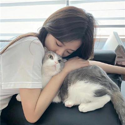 福到福到福宝见面会